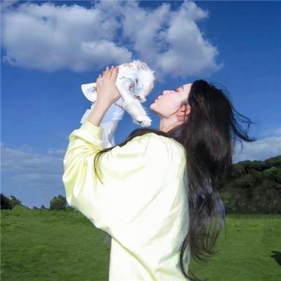 金粉世家